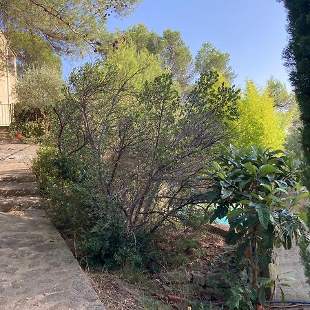 Le Gite Sous Les Pins Les Taillades Extérieur photo