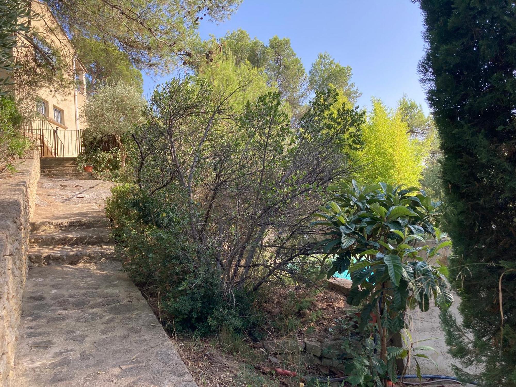 Le Gite Sous Les Pins Les Taillades Extérieur photo